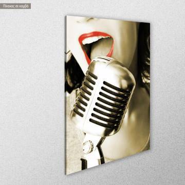 Canvas print  Singer View 1 2