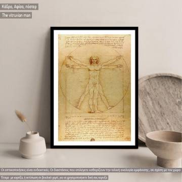 The vitruvian man, Leonardo da Vinci, Κάδρο