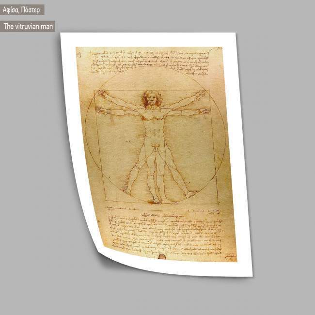The vitruvian man, Leonardo da Vinci, Poster