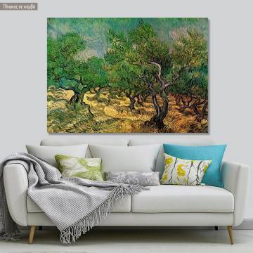 Πίνακας ζωγραφικής  Olive grove, van Gogh V, αντίγραφο σε καμβά