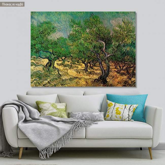 Canvas print  Olive grove, van Gogh V.