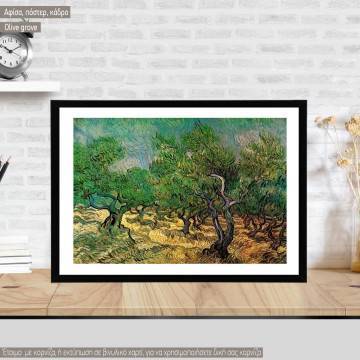 Olive grove, van Gogh Vincent, Poster