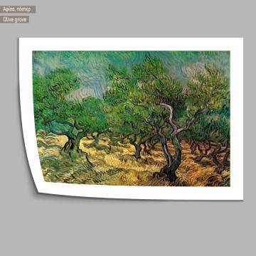 Olive grove, van Gogh Vincent, Poster 2