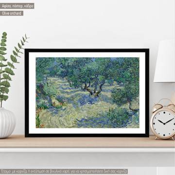 Olive orchard, van Gogh Vincent, Κάδρο