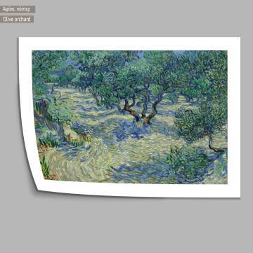 Olive orchard, van Gogh Vincent, Κάδρο 2