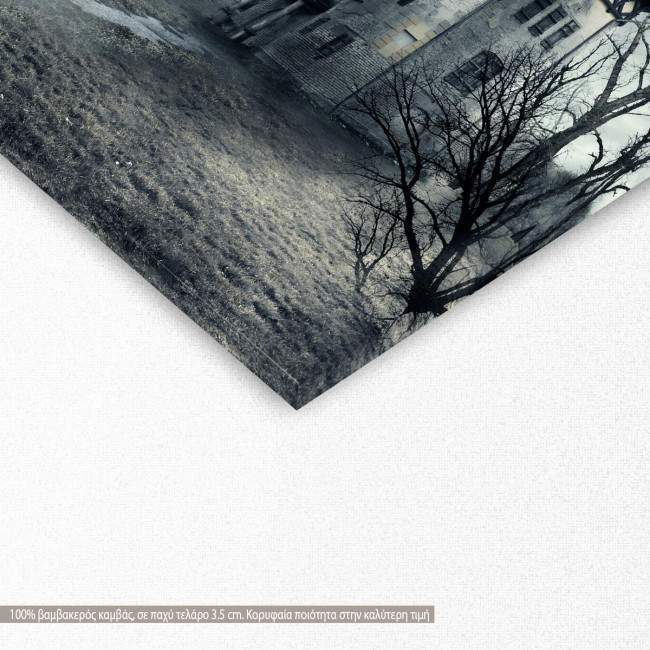 Πίνακας σε καμβά Ηaunted house, λεπτομέρεια