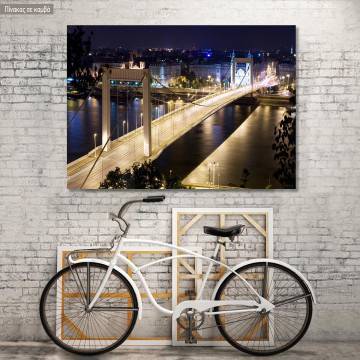 Canvas print Budapest  Elisabeth's bridge