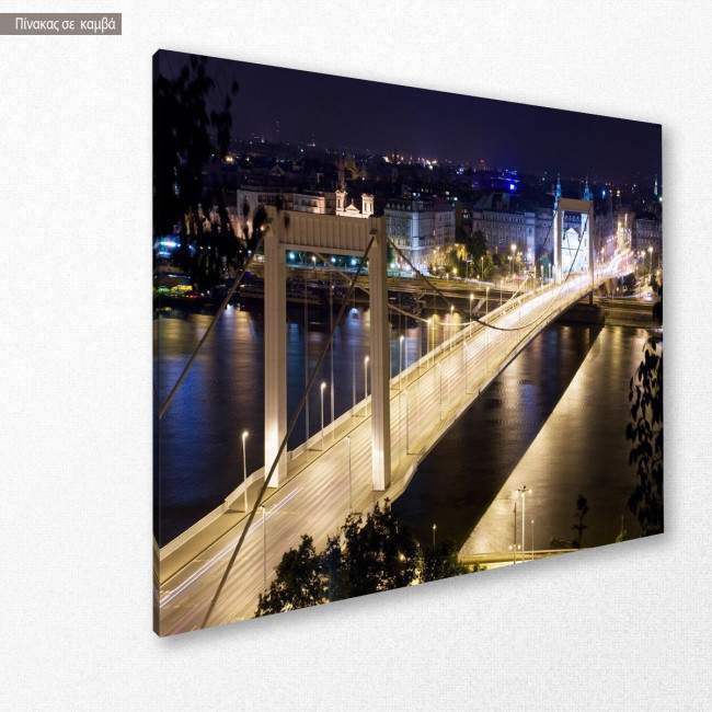 Canvas print Budapest  Elisabeth's bridge, side