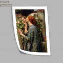 The soul of the rose, Waterhouse J. W, Poster