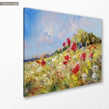 Πίνακας σε καμβά Παπαρούνες Poppies in summer meadow Καμβάς τελαρωμένος Όψη 1 2