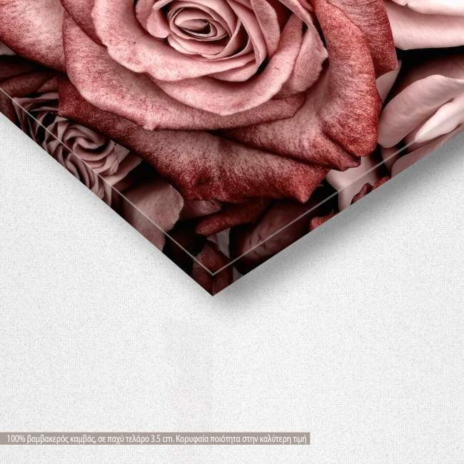Πίνακας σε καμβά Rose wall, λεπτομέρεια