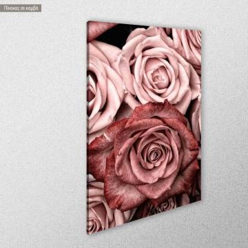 Πίνακας σε καμβά Rose wall Όψη 1 2