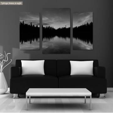 Canvas print Dark tree lake