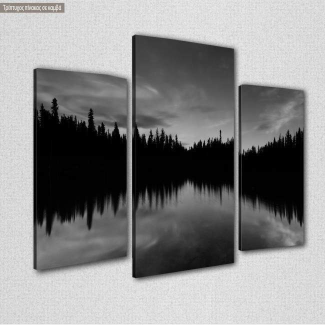 Canvas print Dark tree lake, side