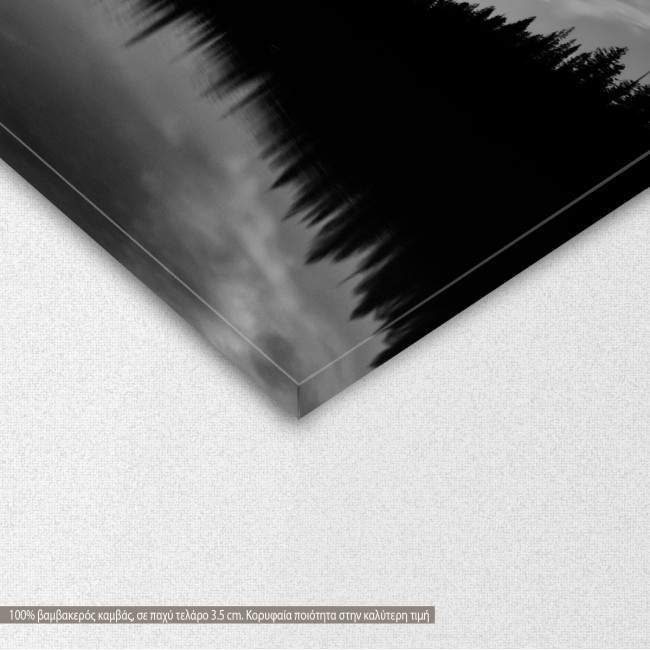 Canvas print Dark tree lake, detail