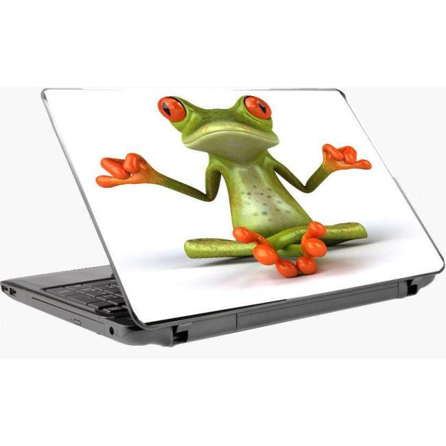 Frog αυτοκόλλητο laptop