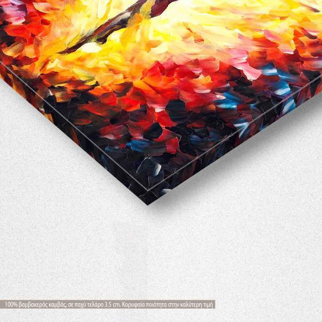 Canvas print The soul of dancer