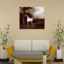 Canvas print Grey horse on the grassland, Agasse 