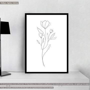 Flowers line art IV, κάδρο, μαύρη κορνίζα