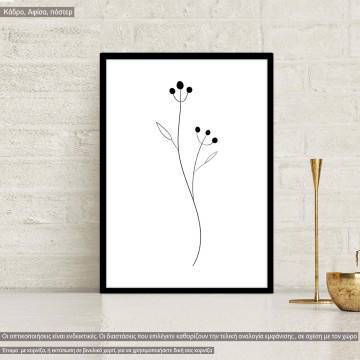 Flowers line art XXII, poster