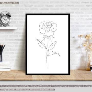 Flowers line art XXIX, poster