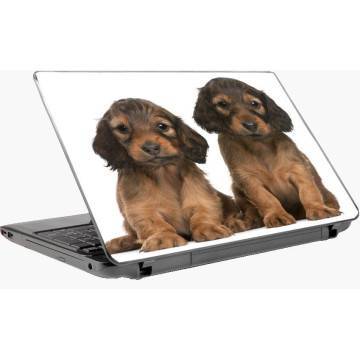 Cute puppies  Laptop skin 