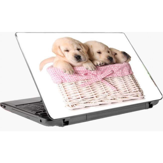 Χαριτωμένα κουταβάκια 2  αυτοκόλλητο laptop