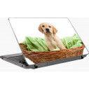 Puppie Laptop skin 