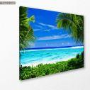Canvas print  Palm framed  tropical beach, side