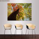 Canvas print End of summer