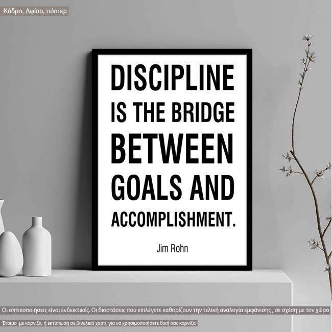 Discipline is the Bridge 2 NEW Classroom Motivational Poster 