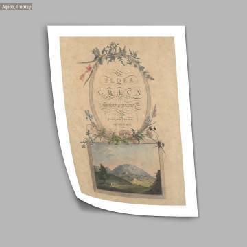Poster Flora Graeca 2