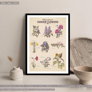 Poster Garden flowers