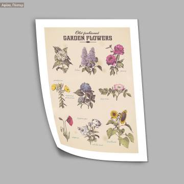 Poster Garden flowers 2