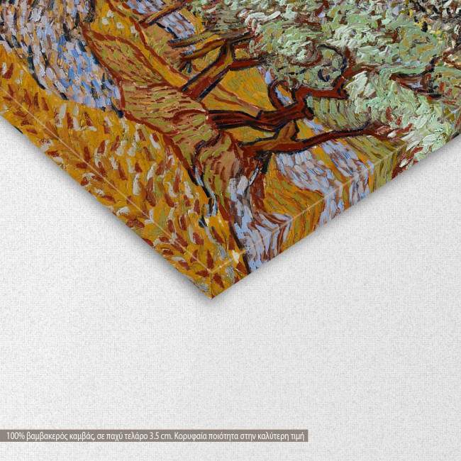 Canvas print Olive trees under sun, Vincent van Gogh