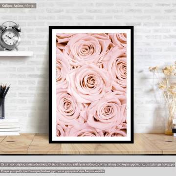 Bouquet Pink roses, poster