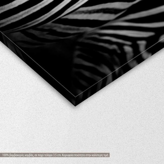 Canvas print Zebra style