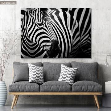 Πίνακας σε καμβά Zebra style