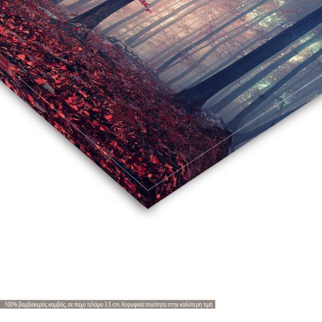 Canvas print Foggy autumn day into the forest, two panels