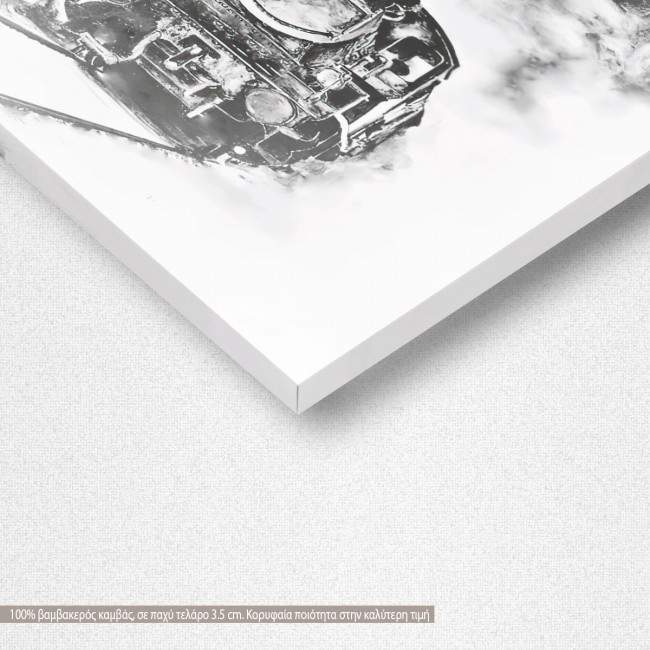 Canvas print Steaming train