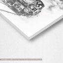 Canvas print Steaming train
