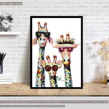 Cool, cool, cool, κάδρο