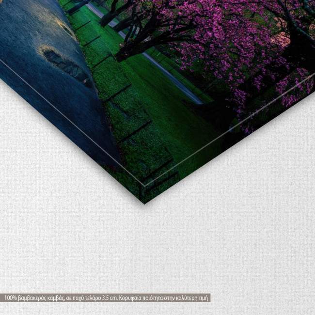 Canvas print Central Park at dusk