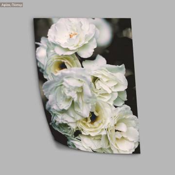 Bouquet White roses,  κάδρο, μαύρη κορνίζα 2