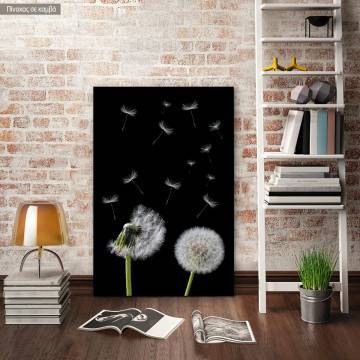 Canvas print Πικραλίδα, Dandelion flower