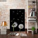 Canvas print Πικραλίδα, Dandelion flower