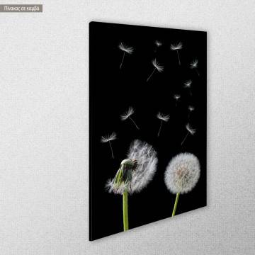 Canvas print Πικραλίδα Dandelion flower Framed canvas View 1 2