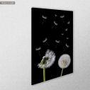 Canvas print Πικραλίδα, Dandelion flower