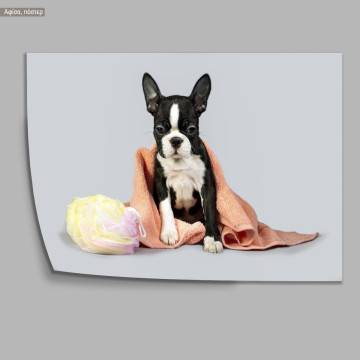 A dog model XIII, Poster 2