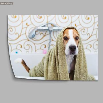 A dog model XII, Poster 2